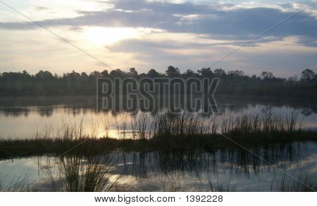 Riflessioni