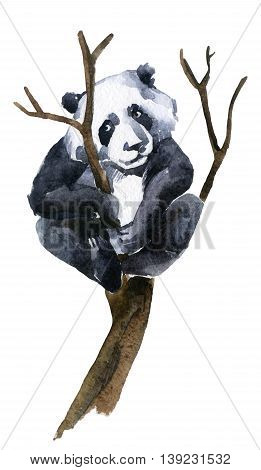 Giant panda on the tree watercolor illustration