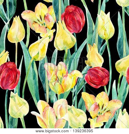 Watercolor spring tulips field seamless pattern. Blooming tulips season in Holland. Watercolor floral seamless pattern on black background. Hand painted illustration nature inspired