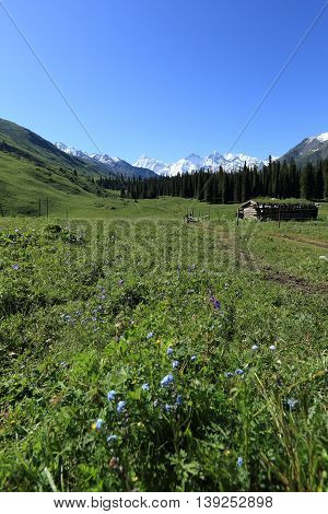 closeup of beautiful mountain landscape in xinjiang china