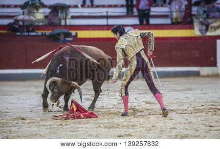 Jaen SPAIN - October 18 2008: The Spanish Bullfighter Sebastian Castella during a rainy afternoon bullfighting with the crutch in the Bullring of Jaen Spain