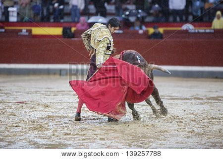 Jaen SPAIN - October 18 2008: The Spanish Bullfighter Sebastian Castella during a rainy afternoon bullfighting with the crutch in the Bullring of Jaen Spain