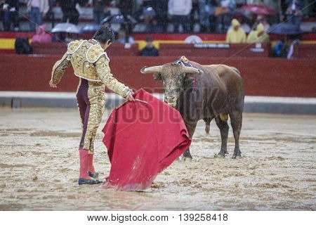 Jaen SPAIN - October 18 2008: The Spanish Bullfighter Sebastian Castella during a rainy afternoon bullfighting with the crutch in the Bullring of Jaen Spain