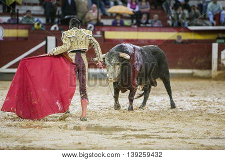 Jaen SPAIN - October 18 2008: The Spanish Bullfighter Sebastian Castella during a rainy afternoon bullfighting with the crutch in the Bullring of Jaen Spain