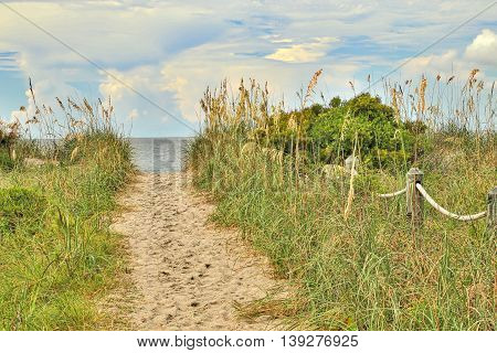 One of the many public beach accesses to Edisto Beach in South Carolina.
