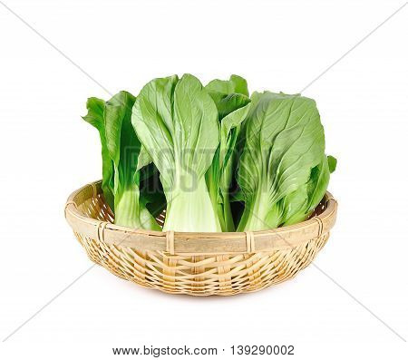 Mockpak choi isolated on white background .