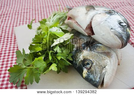 raw sea breams just caught with fresh parsley