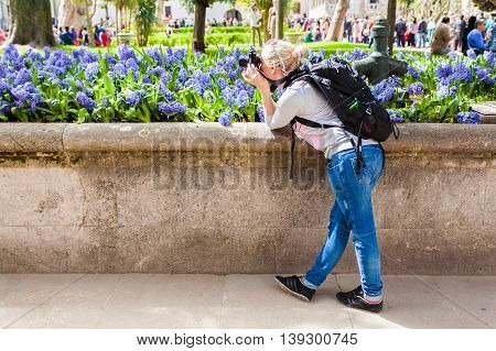 female traveler pictures of Topkapi Palace in Istanbul on a background of lilac flowers. Travel Turkey. The main palace of the Ottoman Empire is located on a promontory Sarayburnu.