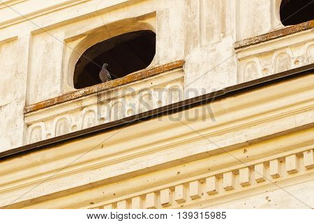 Small window in old ruined abandoned building and pigeon sitting there