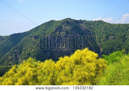 Mount Somma is the remnant of a large volcano, out of which the peak cone of Mount Vesuvius has grown. Province of Naples, in the Campania region, Italy.
