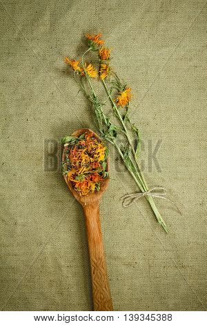 Marigolds calendula. Dried herbs for use in alternative medicine. Herbal medicine phytotherapy medicinal herbs. For the preparation of infusions decoctions tinctures powders ointments tea. Background green cloth