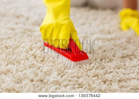 Housewife Scrubing And Washing Carpet