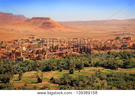 Moroccan Village Oasis