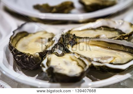 Close up view at served mussels on a plate