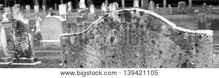 Graveyard grayscale banner-Proportionate to Large Mobile Banner