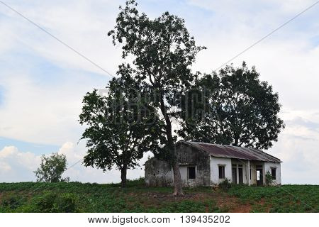 rural view in Vietnam with lonely house on the hill and field