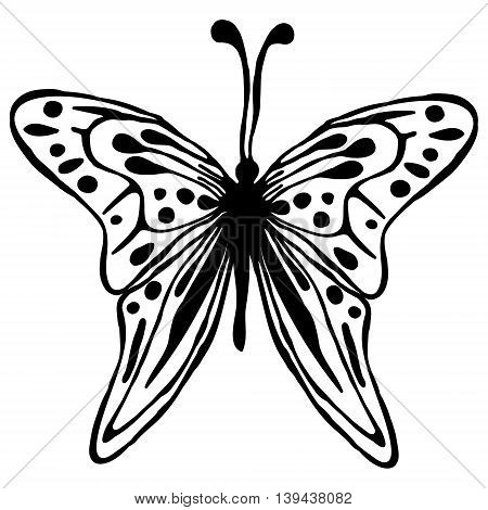 Vector Illustration Of Drawn Butterfly