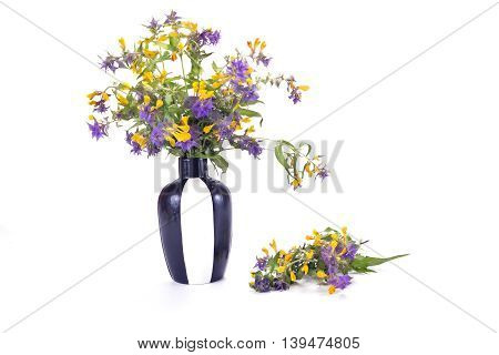 Wild flower Ivan-da-Marya isolated on white background