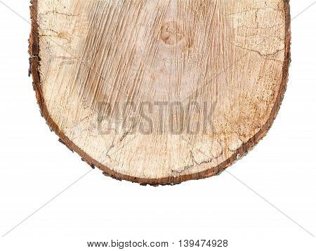 Old alder wooden round timber isolated on white background. Rough cutting roundwood