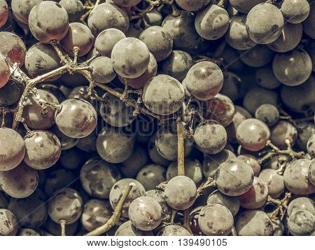 Red Grape Fruits Vintage Desaturated