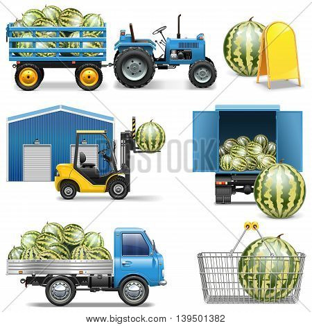 Vector Watermelon Shipping Icons isolated on white background