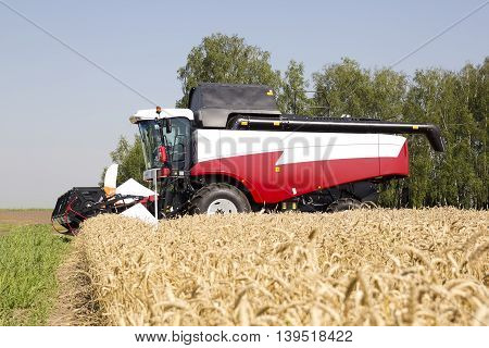 Harvester machine to harvest wheat field working. Combine harvester agriculture machine harvesting golden ripe wheat field. Agriculture