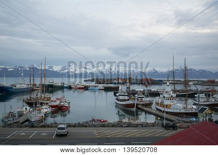 Fishing Harbor Of Husavik