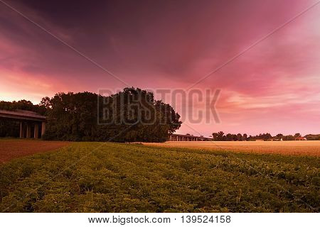 czech landscape with green and gold fields big trees and a highway bridge between the villages Brozany nad Ohri Doksany and Hostenice at sunset