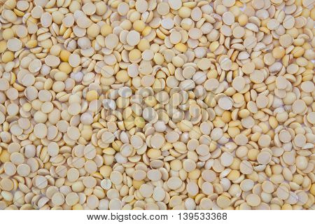 Beautiful gruop  Dried soybean texture background .