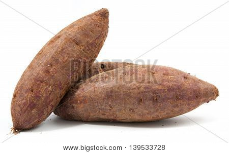 Tapioca Plants Cassava Closeup