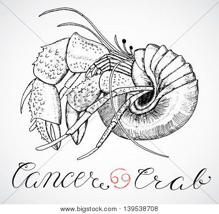 Hand drawn astrological zodiac sign Crab or Cancer. Line art vector illustration of engraved horoscope symbol. Traditional style. Doodle drawing and sketch with calligraphic lettering
