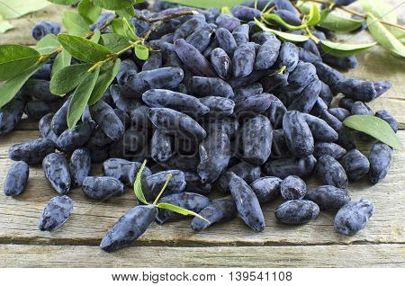 Pile of honeysuckle berries on wooden table