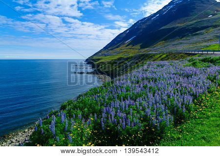 Landscape And Countryside Along The Eyjafjordur