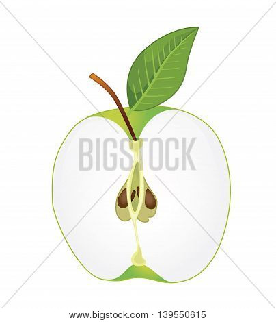 Half Green Apple