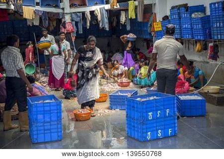 Sassoon Docks In Mumbai, India