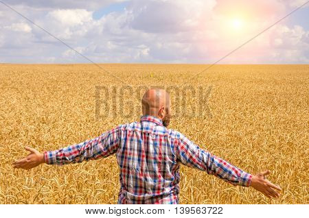 Happy hairless farmer with beard in ripe wheat field with handsup to a blue sky. great harvest.