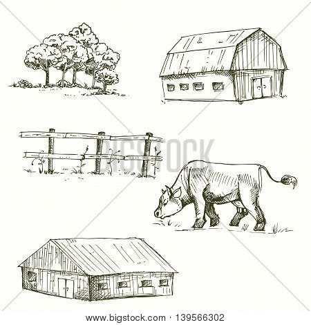 Hand drawn vector illustration of farm, cow, fence, trees, grass. sketch. Vector eps 8