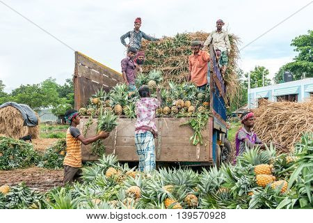 Pineapple Seller