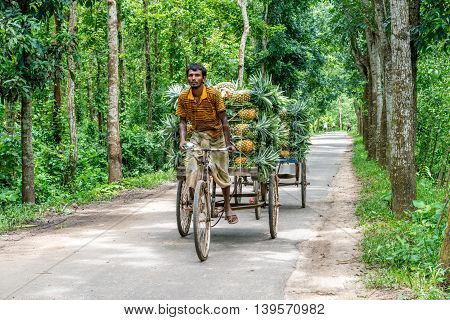 Pineapple Seller