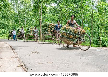 Pineapple Seller