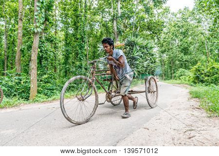 Pineapple Seller
