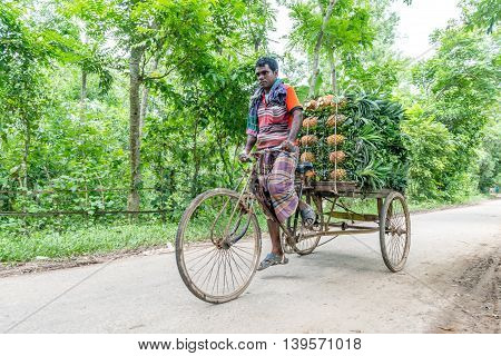 Pineapple Seller