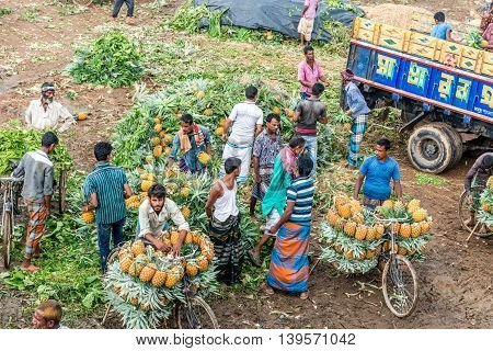 Pineapple Seller