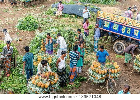 Pineapple Seller