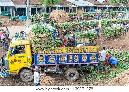 Pineapple Seller