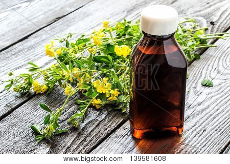 Medicinal plant Common Birds-foot Trefoil (Lotus corniculatus) and pharmaceutical bottle on a dark wooden table. Used in herbal medicine before flowering (flowering plant poisonous) honey plant. Selective focus