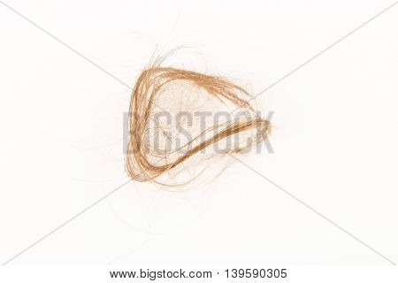 Close-up of hair loss, long hair, alopecia on white background with brush, comb nobody