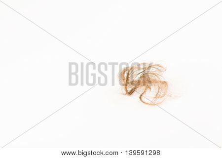Close-up of hair loss, long hair, alopecia on white background with brush, comb nobody