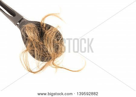 Close-up of hair loss, long hair, alopecia on white background with brush, comb nobody