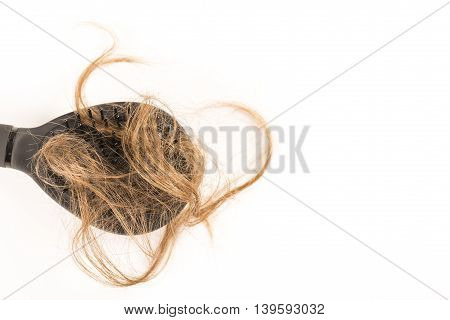 Close-up of hair loss, long hair, alopecia on white background with brush, comb nobody